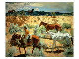 The Southwest