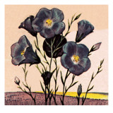 Flax