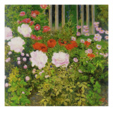 A Rose Hedge