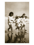 Buy Sea Urchins at AllPosters.com