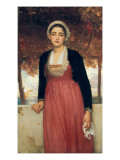 Buy Amarilla at AllPosters.com