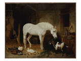 Stable Companions
