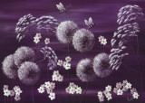 Midnight Meadow