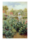 Dahlias, 1896