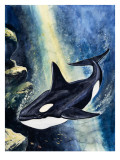 Killer Whale Giclee Print