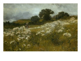 Across the Fields