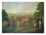 Buy Eleanor at AllPosters.com