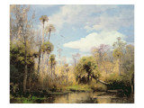 Florida Palms