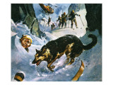 Rescue in the Snow