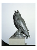 Buy Owl at AllPosters.com