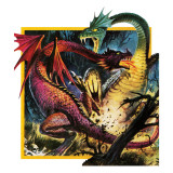 Dragons Fighting