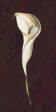 Buy Lady in White II at AllPosters.com