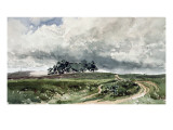 A Heath Scene