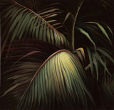Rain Forest II Art Print