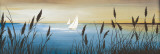 Shoreline I