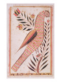 Buy Bird at AllPosters.com