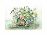 Buy Still Life at AllPosters.com