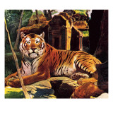 Tiger in the Ruins
