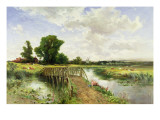 Buy A Summer Day at AllPosters.com