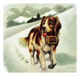 St Bernard Dog