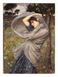 Boreas, 1903