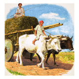 O for Oxen