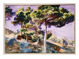 Buy Trees at AllPosters.com