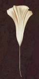 Buy Lady in White I at AllPosters.com