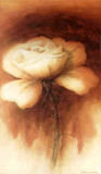 Roses I