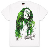 Buy Bob Marley - Leaves Dreads at AllPosters.com