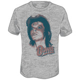 Buy David Bowie - Stare at AllPosters.com