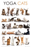 Buy YOGA CATS at AllPosters.com