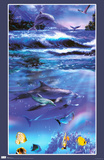 Rainbow Dolphins