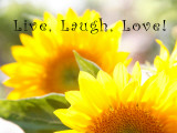 Buy Live Laugh Love: Sunflower at AllPosters.com