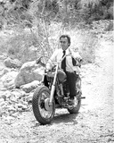 Buy Clint Eastwood - The Gauntlet at AllPosters.com
