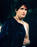 Matt Dillon - Rumble Fish