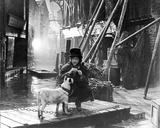 Buy Oliver Reed - Oliver! at AllPosters.com