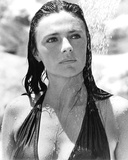 Buy Jacqueline Bisset at AllPosters.com