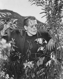 Boris Karloff