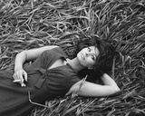 Buy Sophia Loren at AllPosters.com