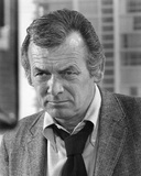 Buy David Janssen - Harry O at AllPosters.com