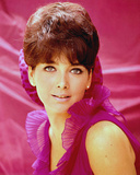 Buy Suzanne Pleshette at AllPosters.com