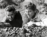 The Professionals
