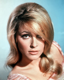 Buy Sharon Tate at AllPosters.com