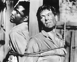 Buy The Defiant Ones at AllPosters.com