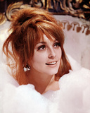 Buy Sharon Tate at AllPosters.com