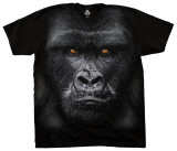 Buy Majestic Gorilla at AllPosters.com