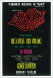 Bye Bye Birdie - Broadway Poster , 1960