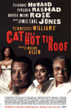 Buy Cat on a Hot Tin Roof - Broadway Poster at AllPosters.com