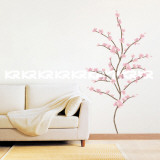 Japanese Cherry Blossoms